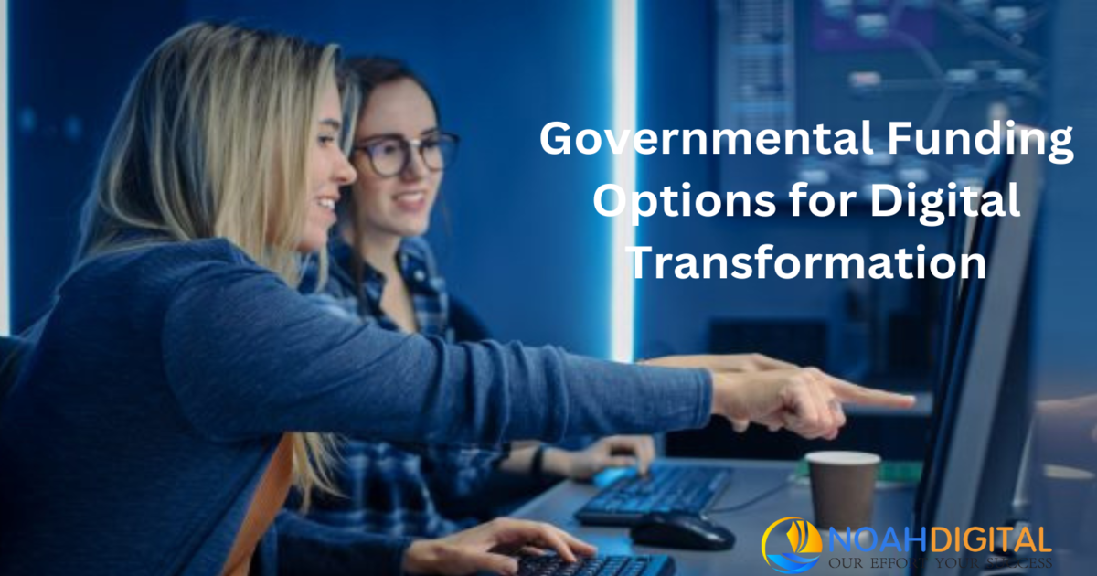 Governmental Funding Options for Digital Transformation