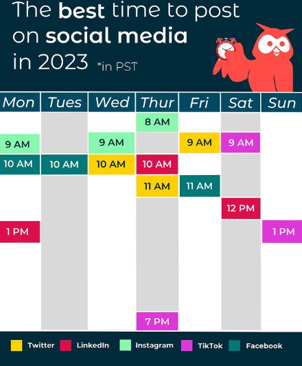 Schedule the social media posts